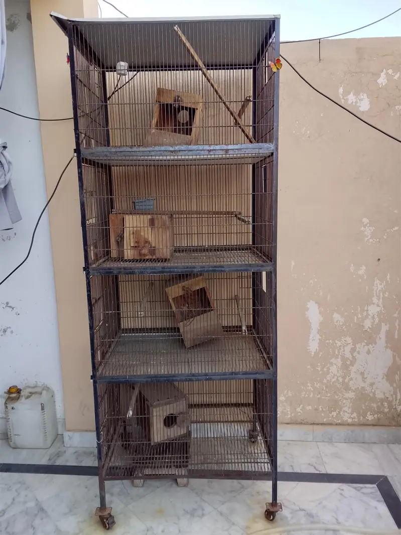 used iron cage — photo 4