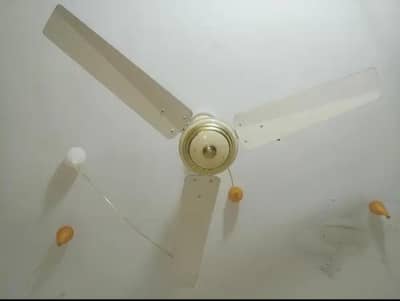 Ceiling fan