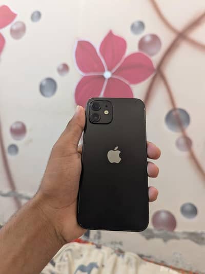 Apple iPhone 12