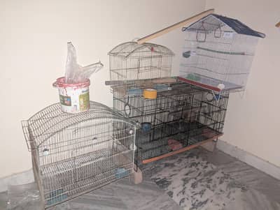 rinknek/cocktail cage with box and also for love birds and finchis.