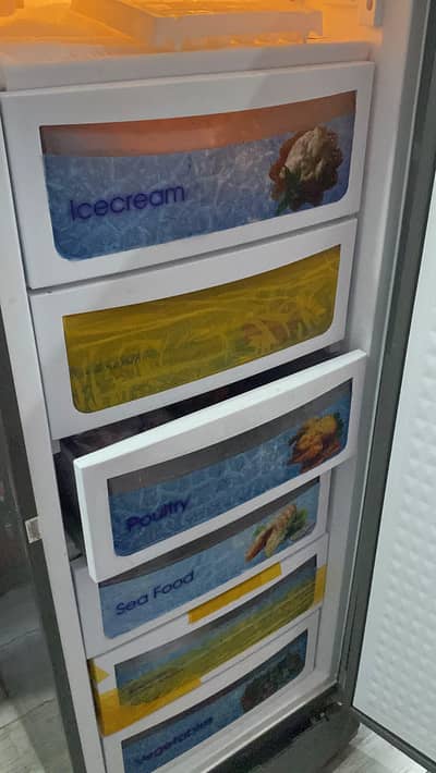 vertical freezer
