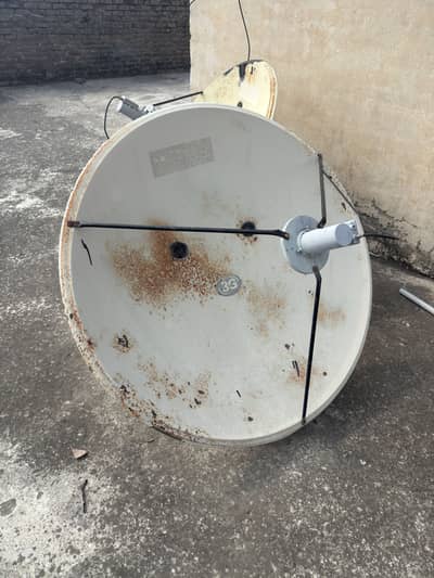 Dish 2