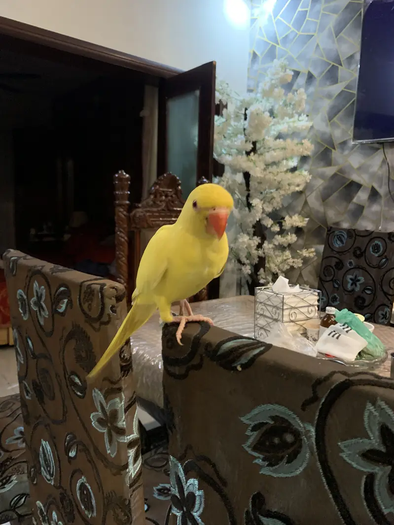 For sell — photo 2