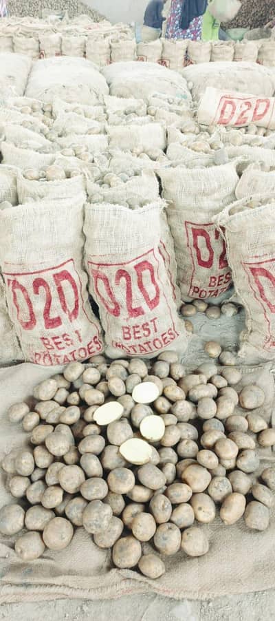 Potato and Onion Supply