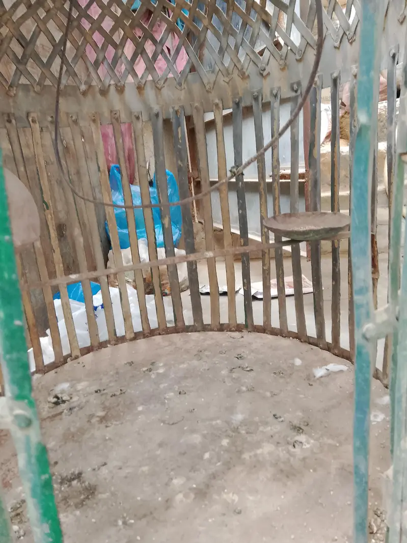 parrot cage — photo 3