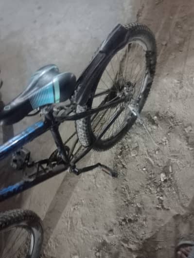 Shimano cycle