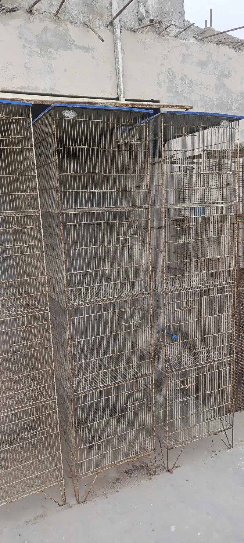 cages — photo 2