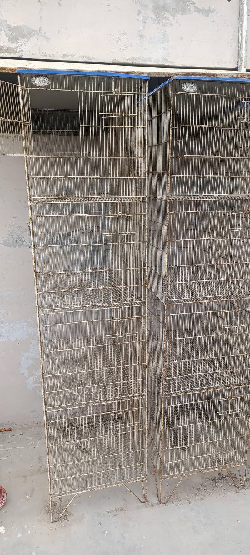 cages 2