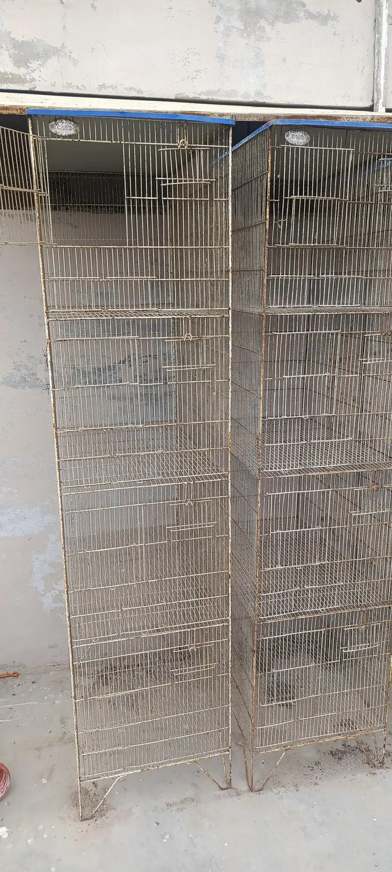 cages — photo 3