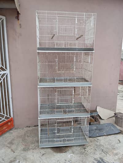 Birds cage Available
