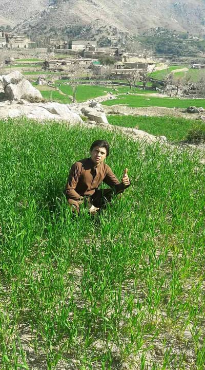 Nadeem khan