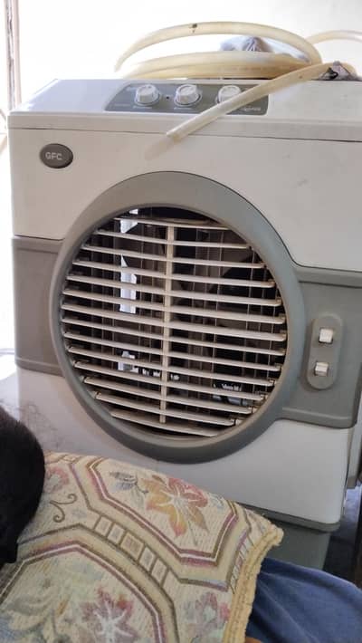 A one condition only one year used