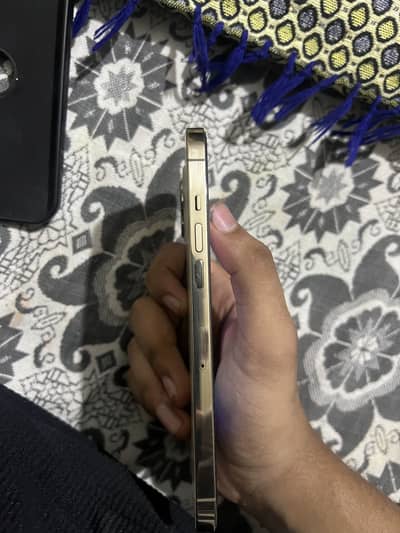 12 pro max pta approved