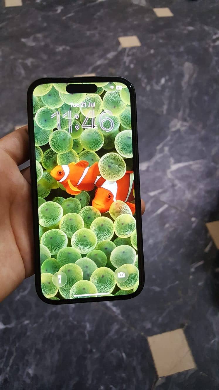 iPhone 15 3