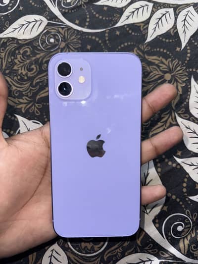 iPhone 12 | PTA APPROVED |
