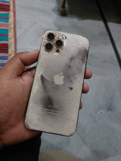 Apple iPhone 12 Pro Max