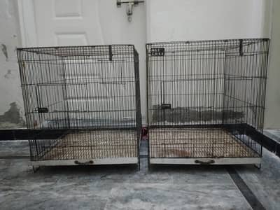 bird cage