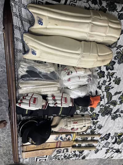 Hard ball cricket kit