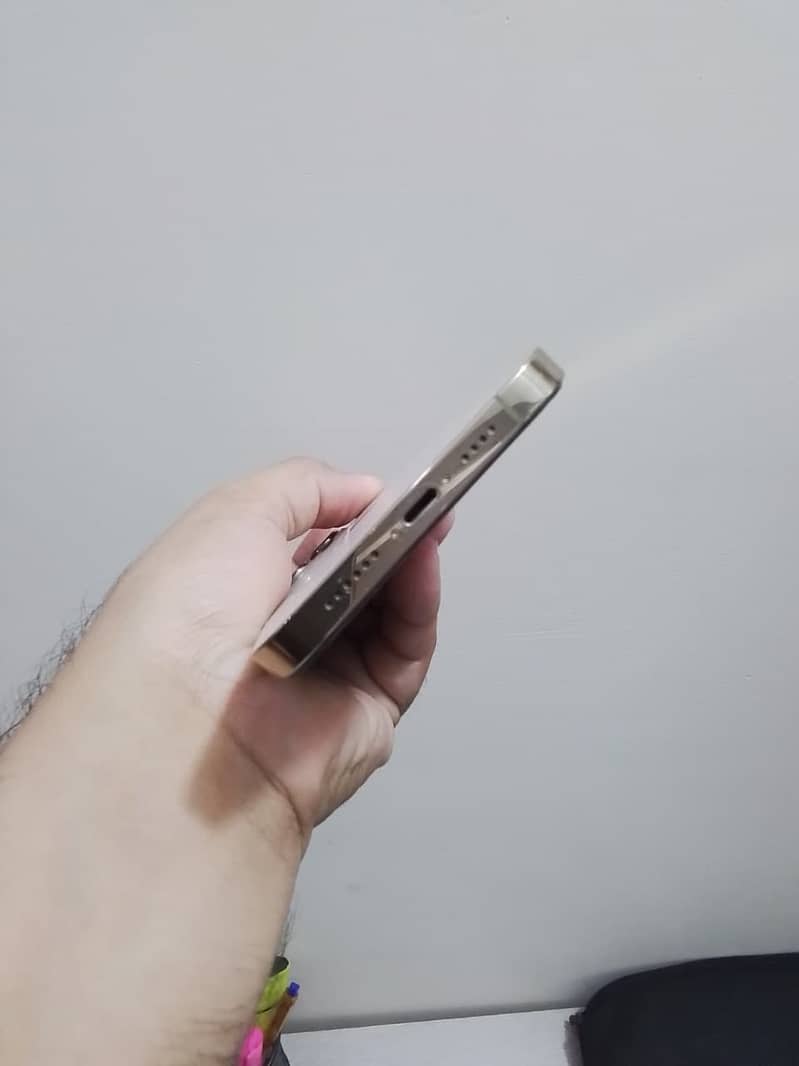 Apple iPhone 12 Pro Max 1