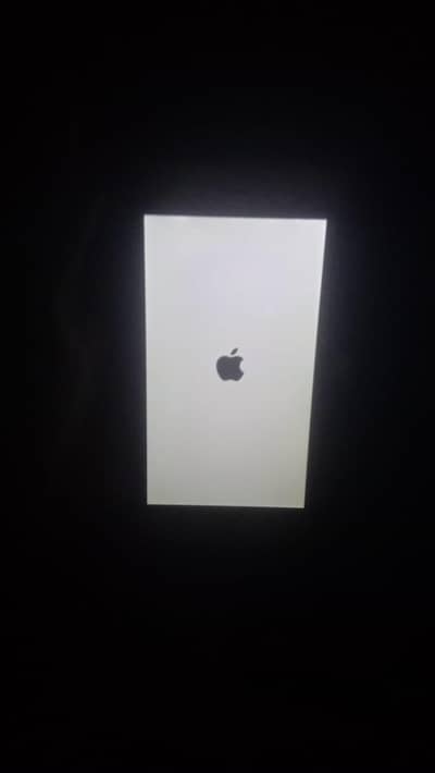 Apple iPhone 6
