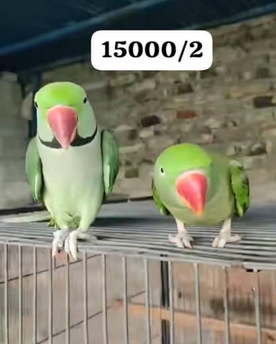 I was sell it argent know