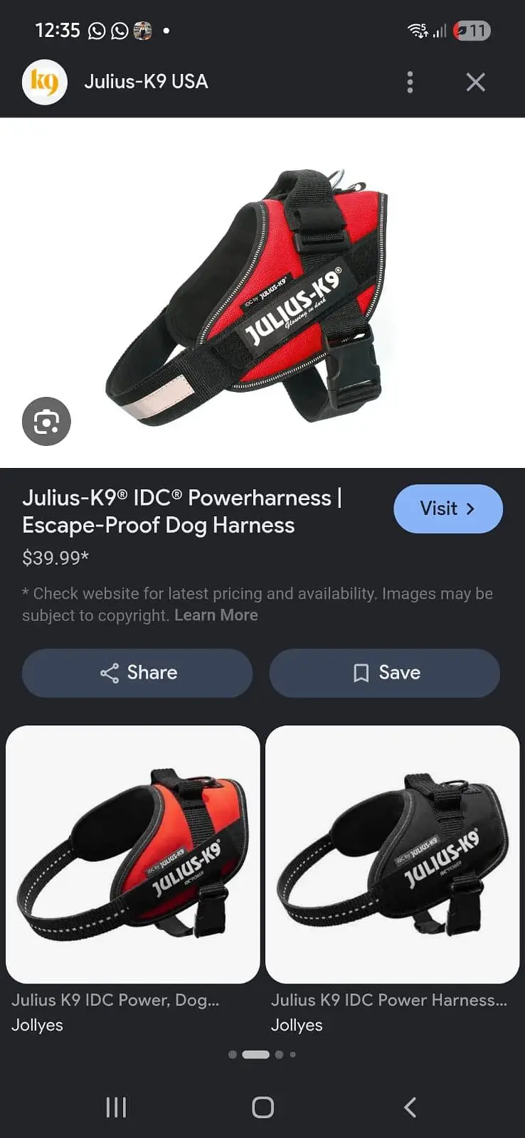 Dog Belt for Sale julius Power — photo 2