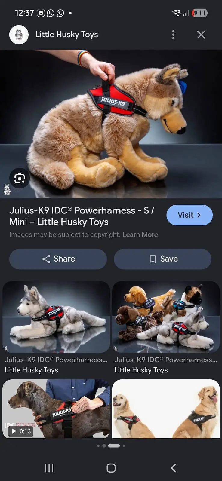 Dog Belt for Sale julius Power — photo 3