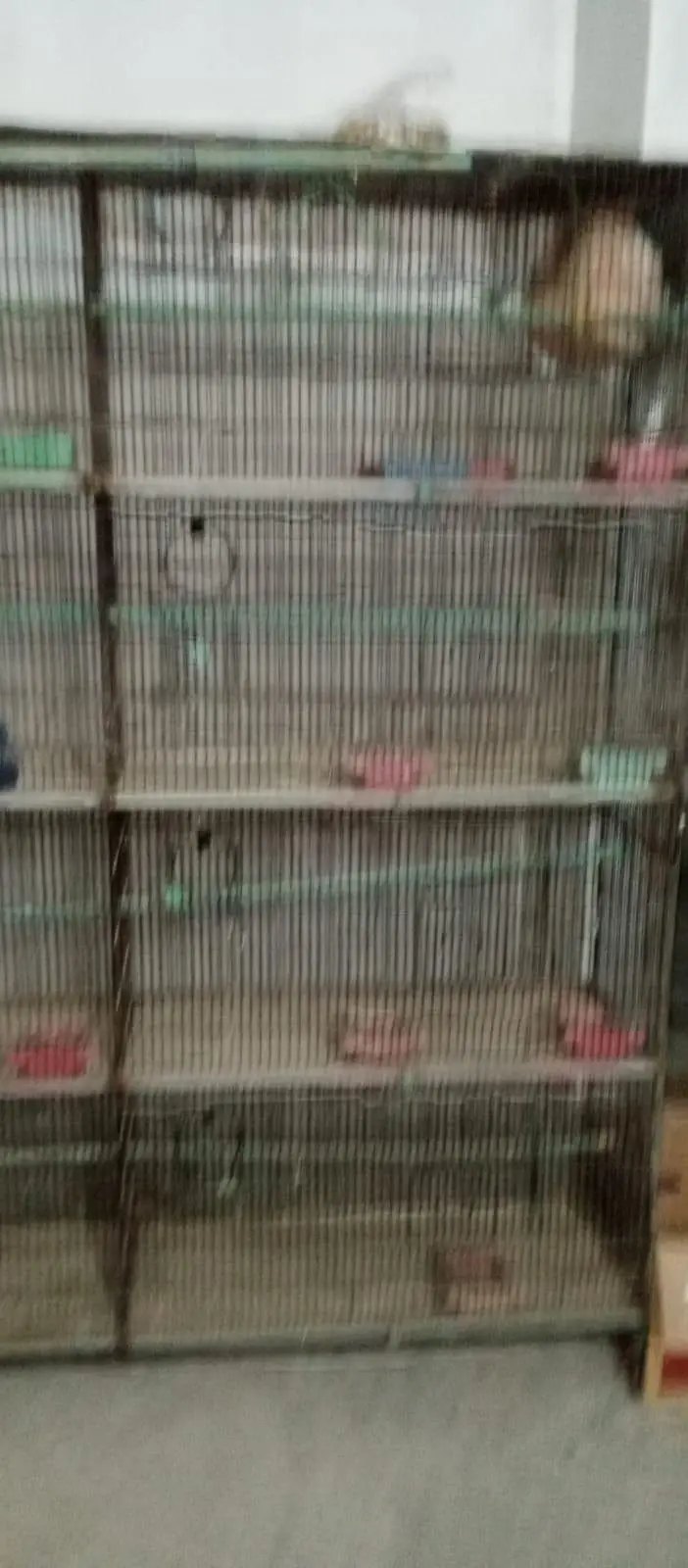 cage for sale — photo 3