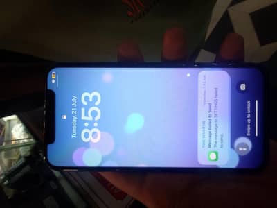 Apple iPhone X