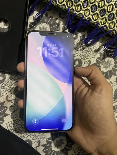 12 pro max pta