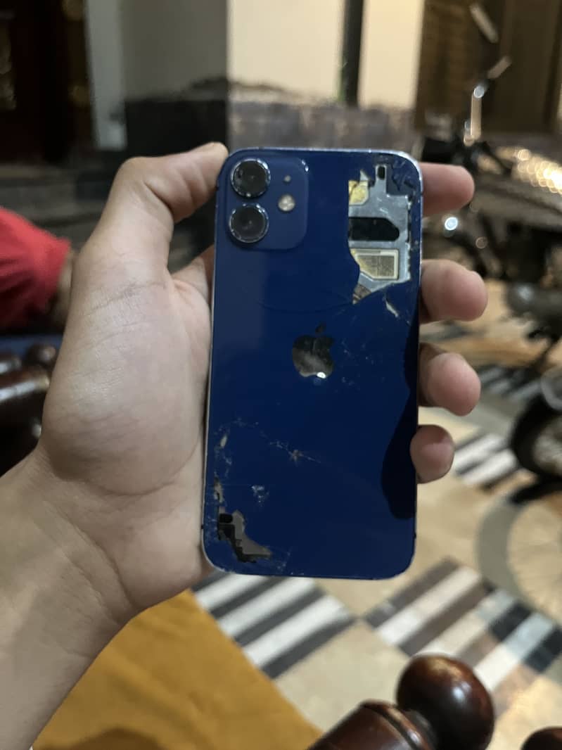 iPhone 12 mini 1