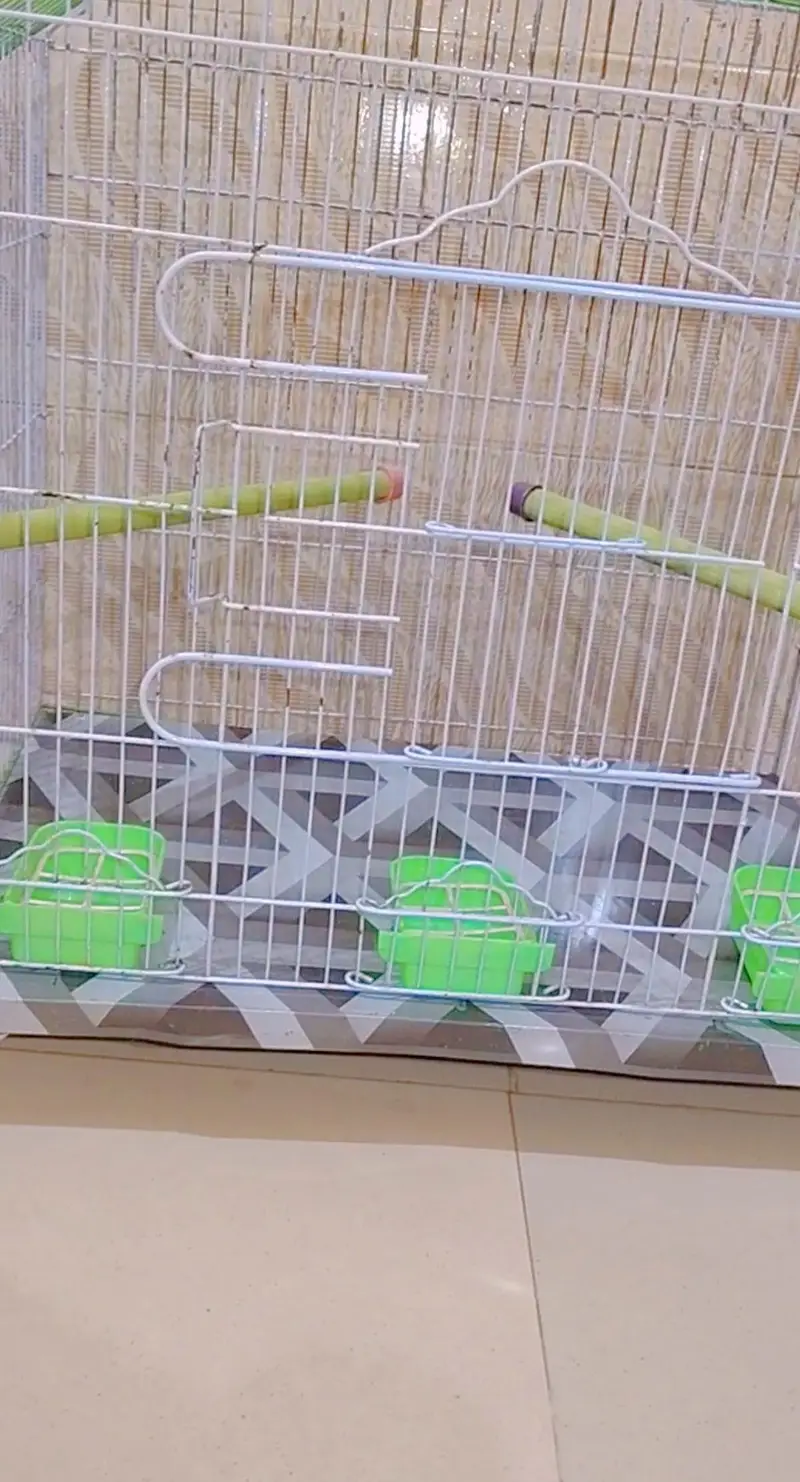 Jumbo size New cage for sell urgent — photo 2