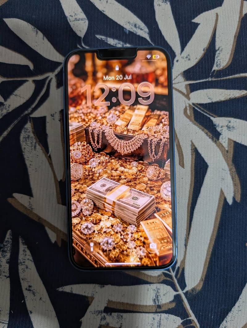 Apple iPhone 13 0