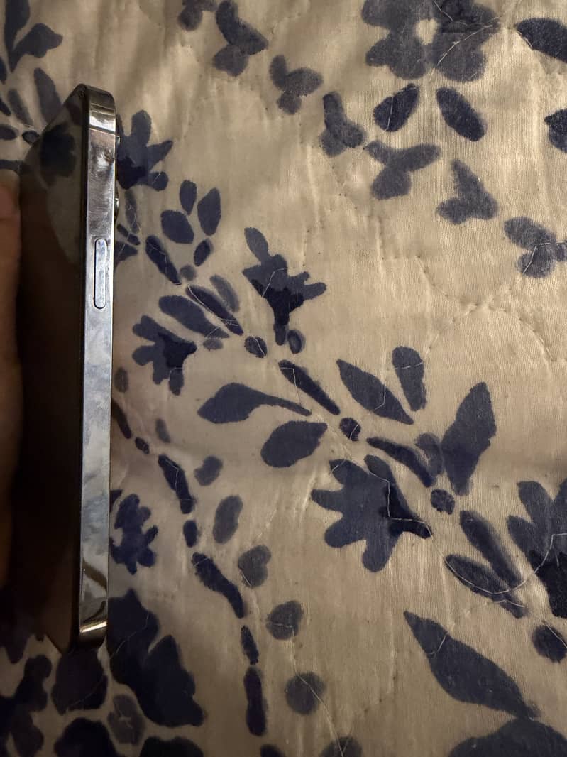 Apple iPhone 13 Pro 2