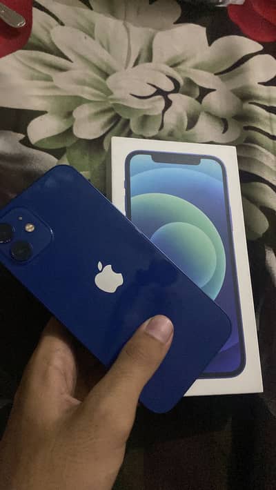 Apple iPhone 12