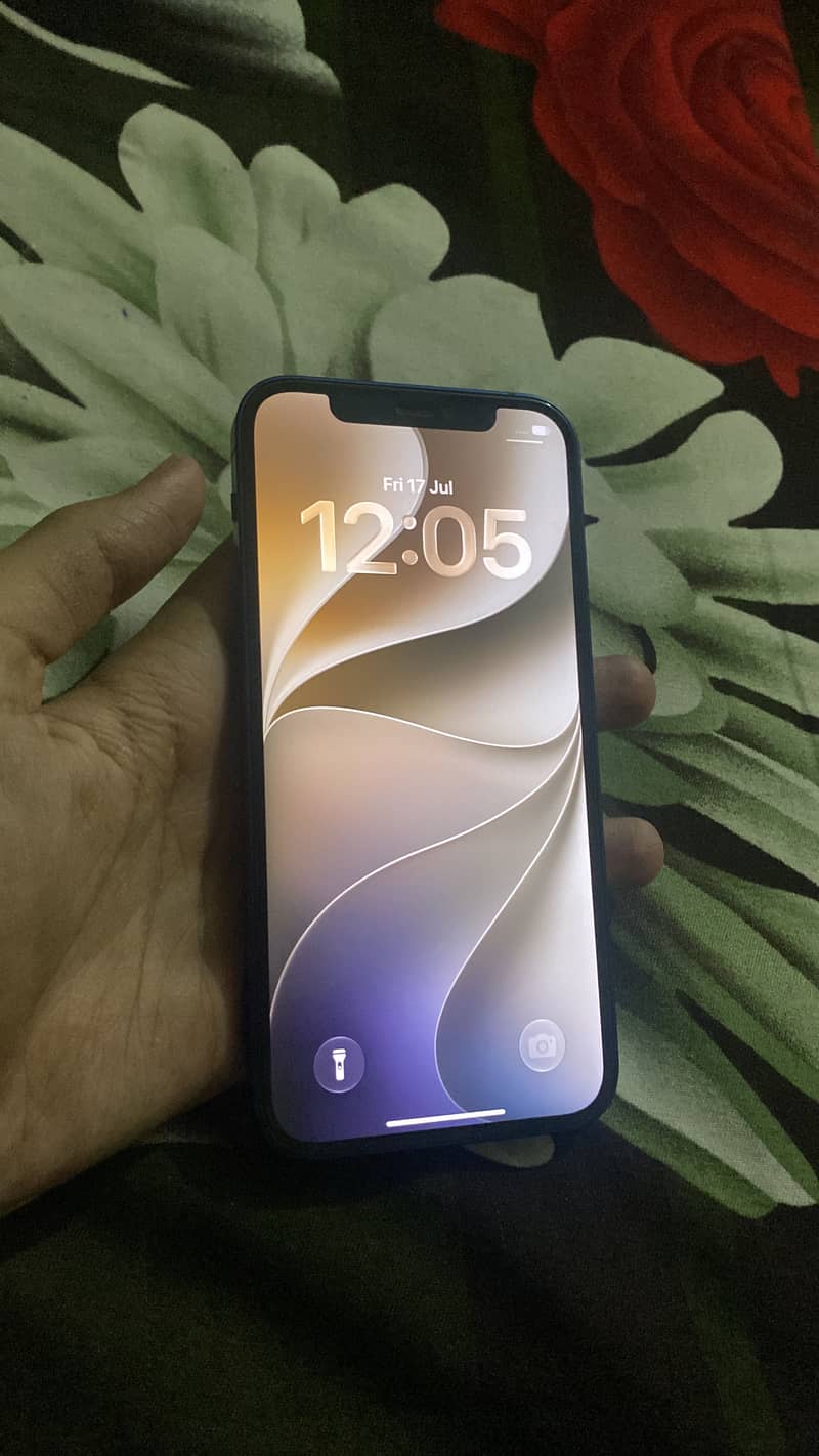 Apple iPhone 12 2