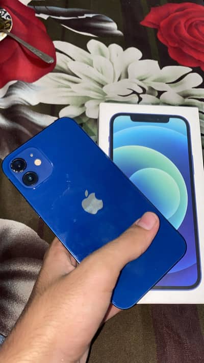 Apple iPhone 12