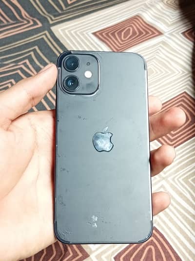 12 mini