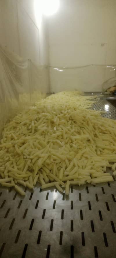 french fries  fresh cut, half boiled, half Fry bulk quality for sale