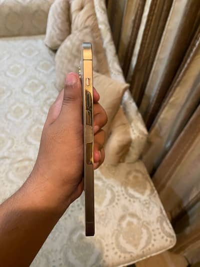 Iphone 12 Pro Max dual physical pta approved