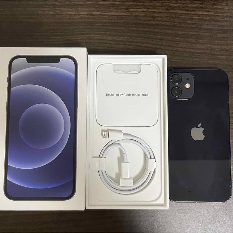 Apple iPhone 12 1