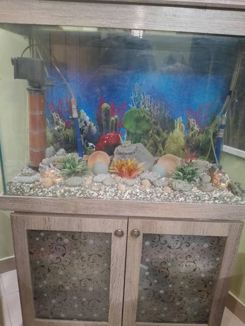 Complete Aquarium Setup 2