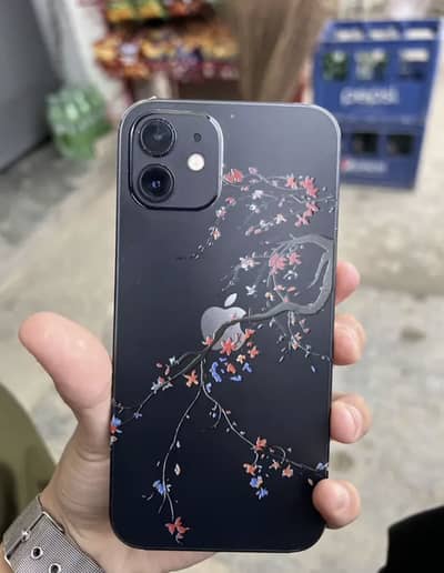 iPhone 12