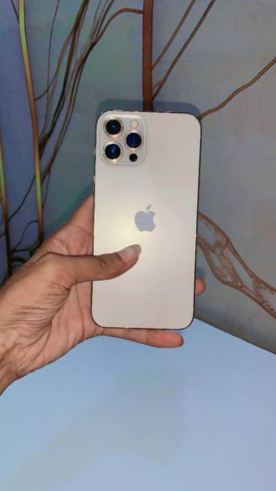Apple iPhone 12 Pro Max