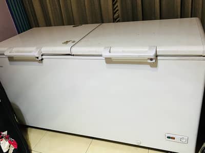 Haier Double Door Deep Freezer
