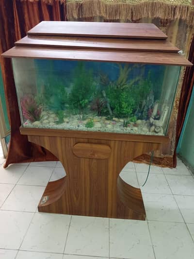 Fish aquarium