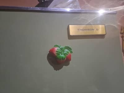 Thomosn fridge its very good quality neat and clean