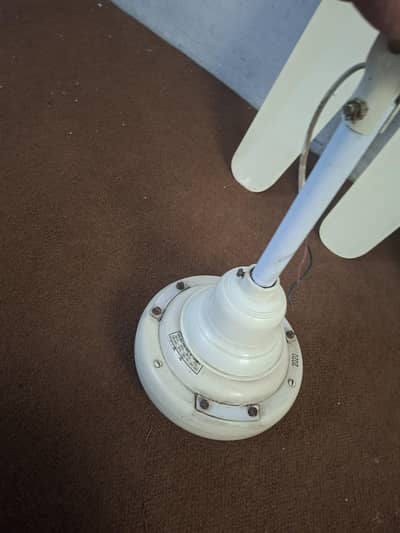 ceiling fan for sale