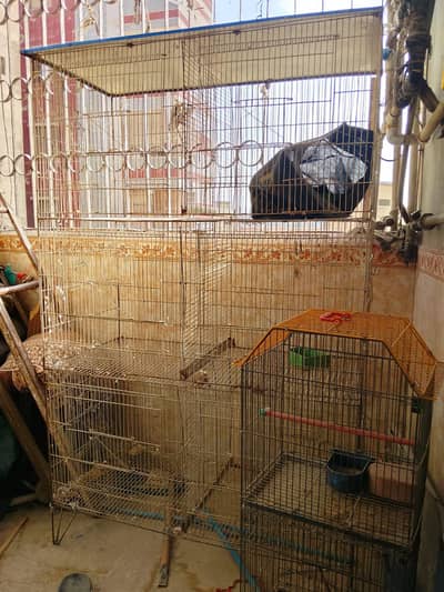 6 partition all ok pinjra