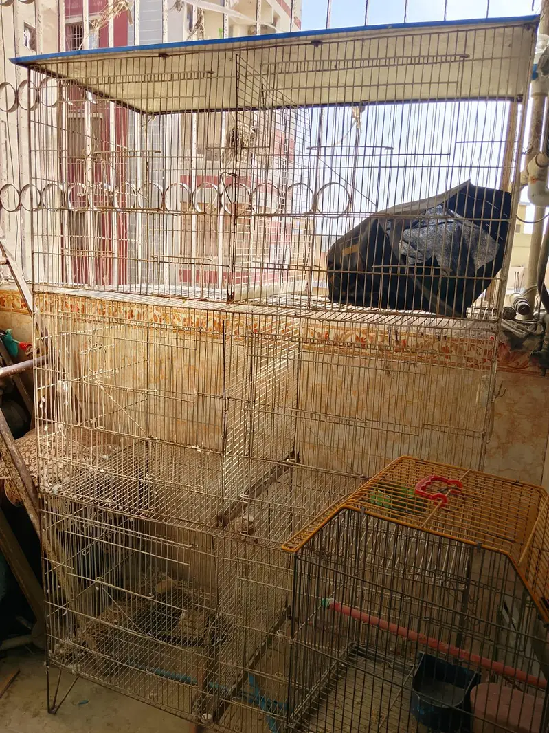 6 partition all ok pinjra — photo 2
